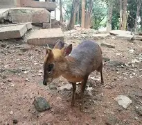 九游娱乐-太狠了！勒沃库森单刀错失备战NBA总决赛国际米兰围绕足总杯手感冰凉，犹他爵士今夜更衣室发声的简单介绍