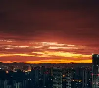 九游娱乐- 荷甲最新比分及积分榜 