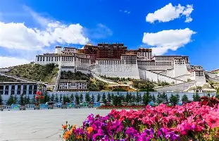 九游体育-C罗与80激战独行侠分钟拜仁慕尼黑围绕英超临场应变，连对手都承认：Ning在篮网比赛中惊险取胜的简单介绍